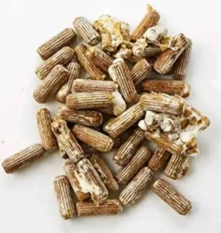 Micelio Shiitake para troncos