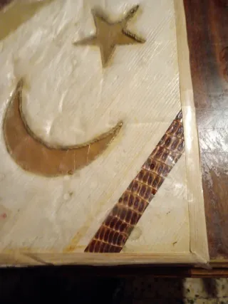 Álbum de fotos ecológico 3 TIMES