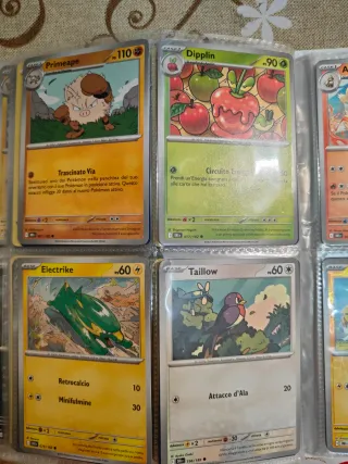 Carte Pokemon+raccoglitore+adesivi+codici+gadget