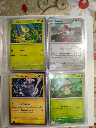 Carte Pokemon+raccoglitore+adesivi+codici+gadget