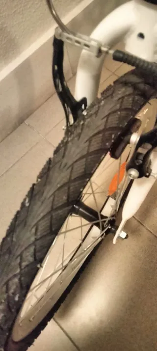 Bicicleta infantil RIVERSIDE