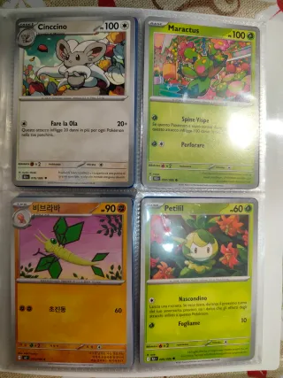 Carte Pokemon+raccoglitore+codici+adesivi+gadget