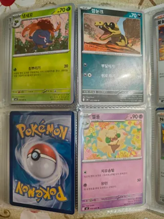 Carte Pokemon+raccoglitore+codici+adesivi+gadget