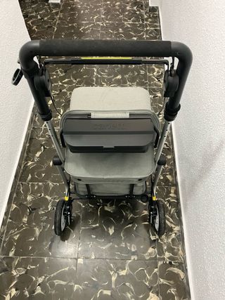 Carlett Carro de compra, andador y asiento