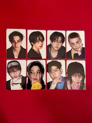 Stray Kids Karma Skzoo Photocards