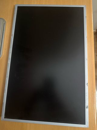 Panel LCD LG LM190WX1