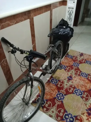 Bicicleta de montaña plateada