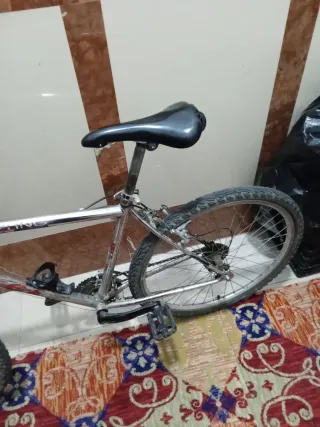 Bicicleta de montaña plateada