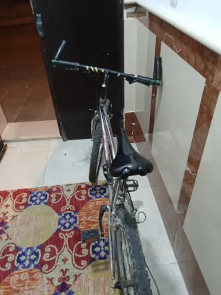 Bicicleta de montaña plateada