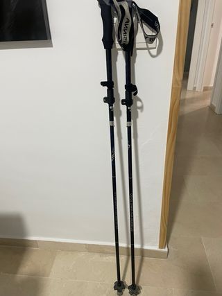 Bastones de trekking BISINNA