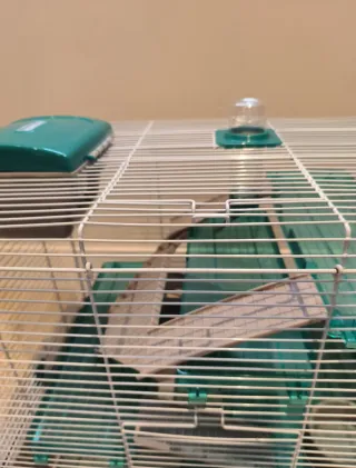 Jaula Hámster con Accesorios