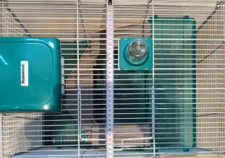 Jaula Hámster con Accesorios