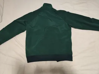 Chaqueta Carhartt verde