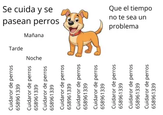Cuidado y paseo de perros