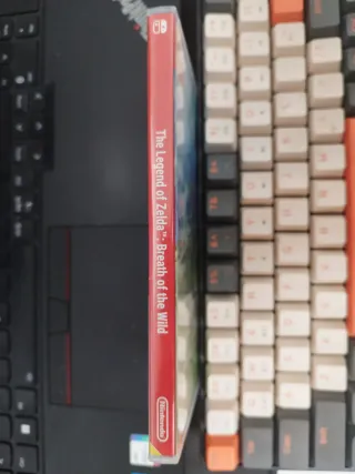 The Legend of Zelda: Breath of the Wild Switch