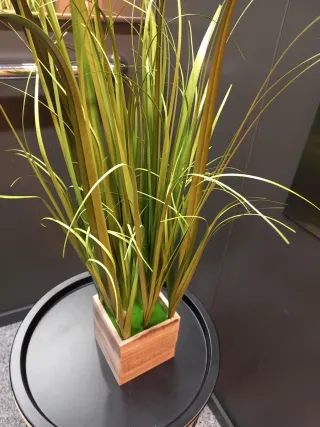 Planta artificial decorativa en maceta