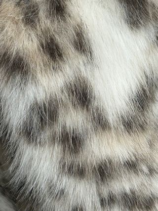 Chaqueta pelo efecto leopardo Stradivarius Talla M