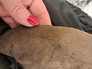 Abrigo corto piel de Astracán Talla 42-44