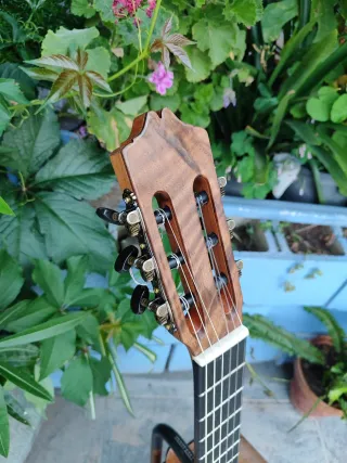 Guitarra Valeriano Bernal La Serranía