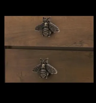 10 Tiradores de Abeja