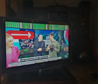 Televisor Samsung Negro