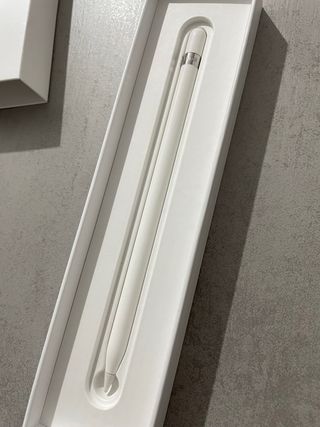 Apple Pencil 1ª Generación