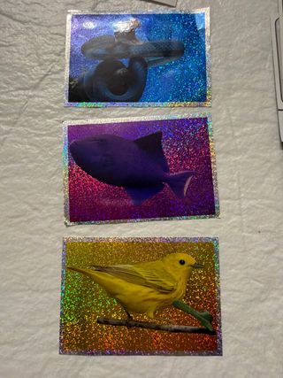 Cromos Mundo Animal Los Records Panini