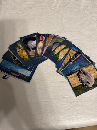 Cromos Mundo Animal Los Records Panini