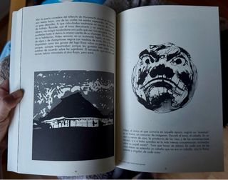 Japon Visto por 17 Autores