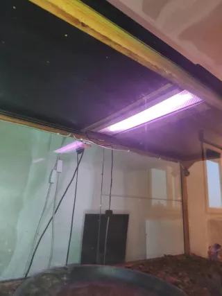 Terrario grande para reptiles