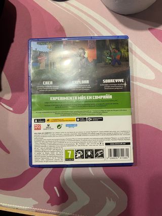 Minecraft PS5