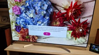 Televisor LG OLED55B7V Negro