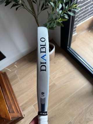 Siux Diablo II Revolution Pro Sanyo