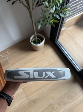 Siux Diablo II Revolution Pro Sanyo