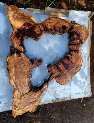 Asse rondella "C" Legno Ulivo Salentino