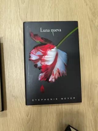 Crepúsculo. Luna nueva. Eclipse. Amanecer.