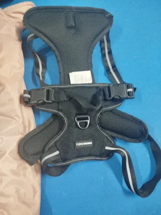 Lote accesorios para perros