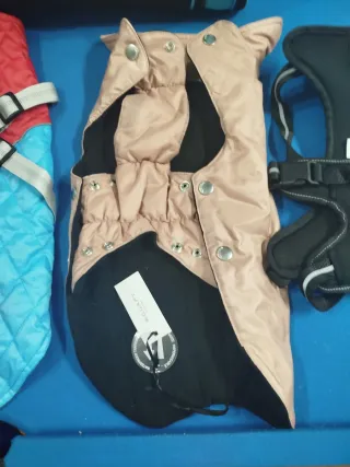 Lote accesorios para perros