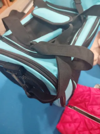 Lote accesorios para perros