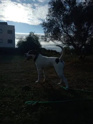 Estoy buscando empleo