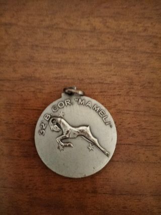 Ciondolo medaglia e spilla militare