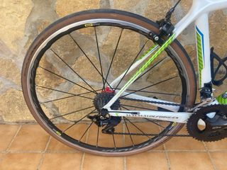 Bicicleta carretera Wolfbike carbono T47