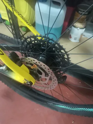 Megamo Factory 29 Bicicleta MTB