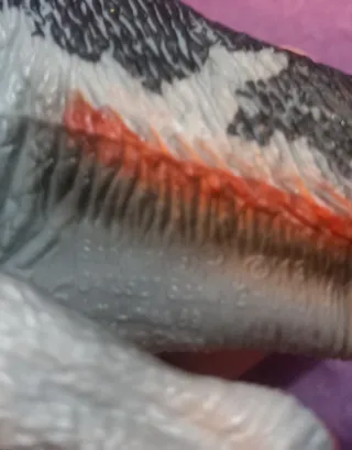 Action Figure Therizinosaurus Grande