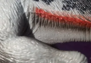 Action Figure Therizinosaurus Grande