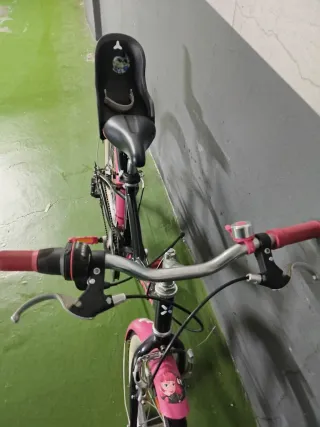 2 Bicicletas de Montaña y de Niña