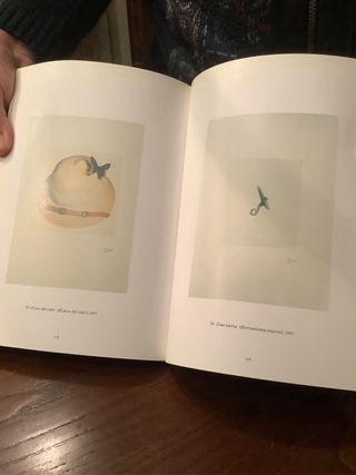 Libro de Arte Brossa.Joan Brossa.Poemes publics