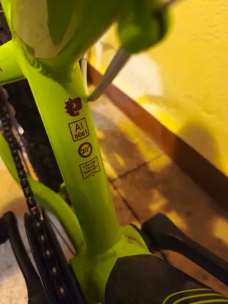 Bicicleta Montaña 20 con Cambios