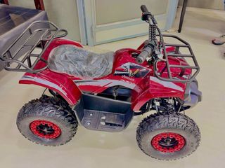 Mini Quad Eléctrico 800W