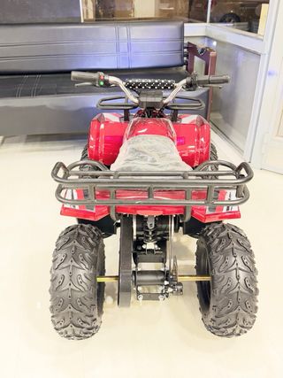 Mini Quad Eléctrico 800W